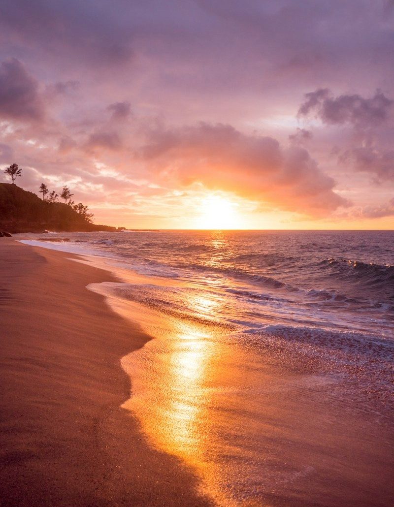 beach seashore during sunset